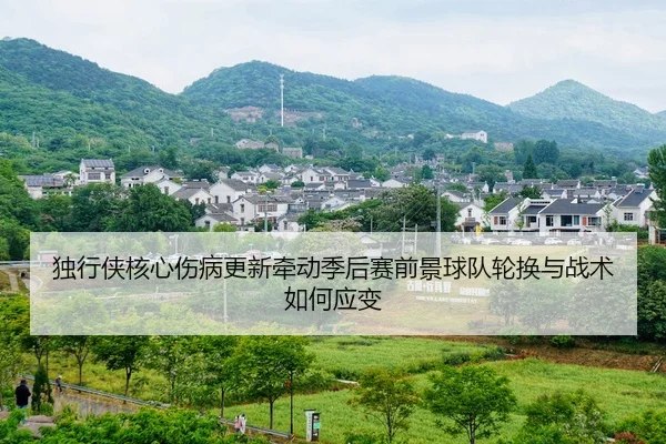 独行侠核心伤病更新牵动季后赛前景球队轮换与战术如何应变